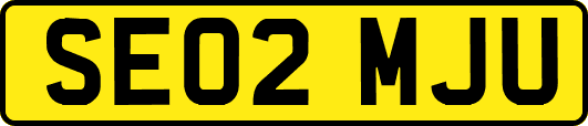 SE02MJU
