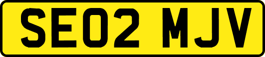 SE02MJV