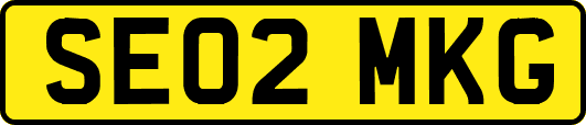 SE02MKG