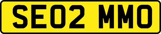 SE02MMO