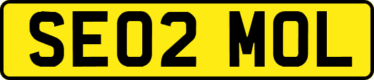 SE02MOL