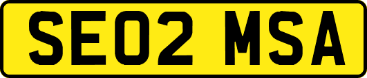 SE02MSA
