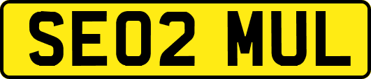 SE02MUL