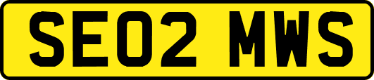 SE02MWS