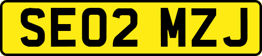 SE02MZJ