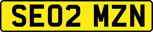SE02MZN
