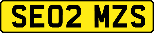 SE02MZS