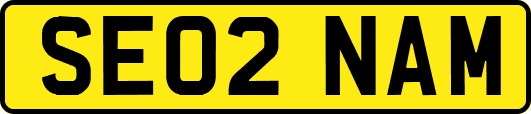 SE02NAM