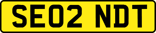 SE02NDT