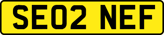 SE02NEF