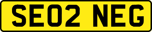 SE02NEG