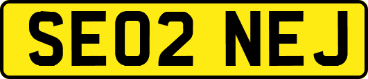 SE02NEJ