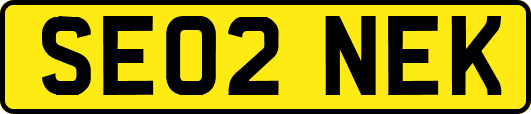 SE02NEK
