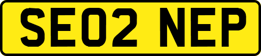 SE02NEP