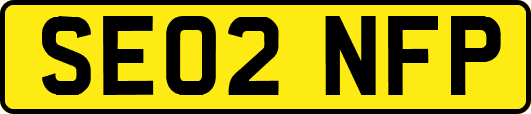 SE02NFP