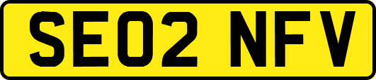 SE02NFV
