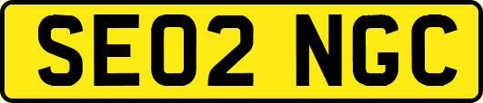 SE02NGC