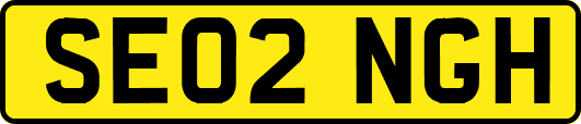 SE02NGH