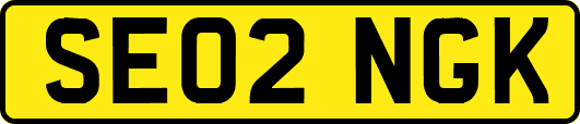 SE02NGK