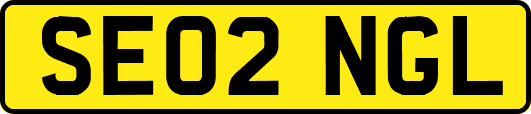 SE02NGL