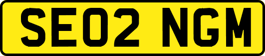 SE02NGM