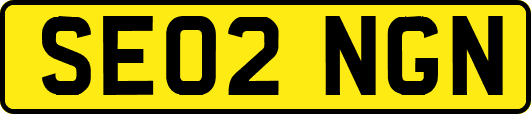 SE02NGN