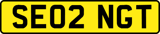 SE02NGT