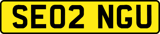 SE02NGU