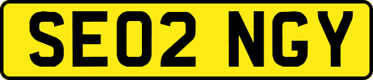SE02NGY