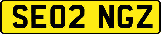 SE02NGZ