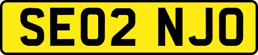 SE02NJO
