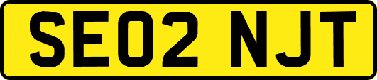SE02NJT