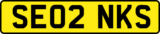 SE02NKS
