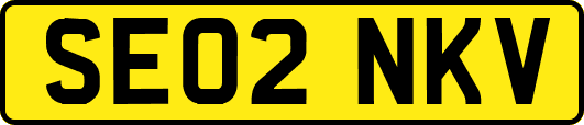 SE02NKV