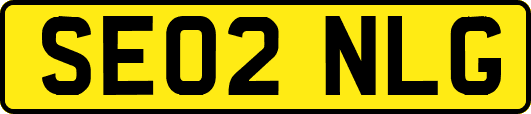 SE02NLG