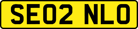SE02NLO