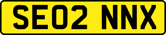 SE02NNX