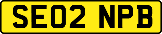 SE02NPB