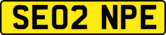 SE02NPE