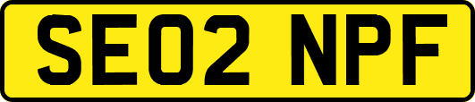 SE02NPF