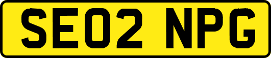 SE02NPG