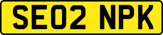 SE02NPK