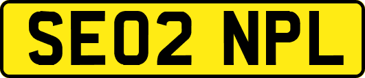 SE02NPL