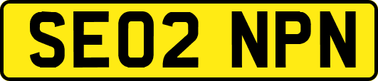 SE02NPN