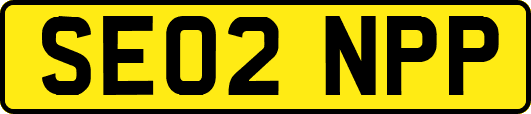 SE02NPP
