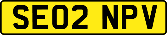 SE02NPV