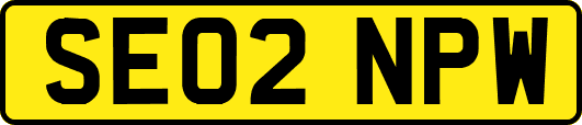 SE02NPW