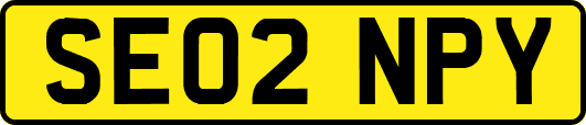 SE02NPY