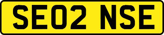 SE02NSE