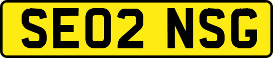 SE02NSG